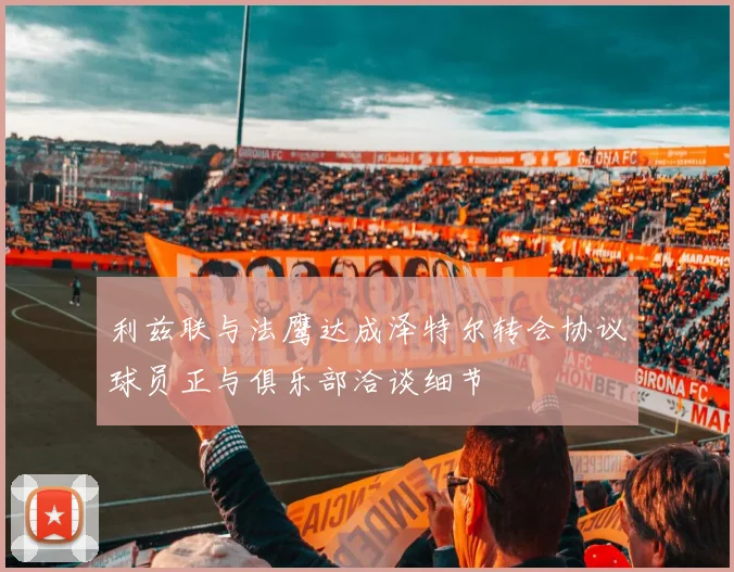 利兹联与法鹰达成泽特尔转会协议球员正与俱乐部洽谈细节
